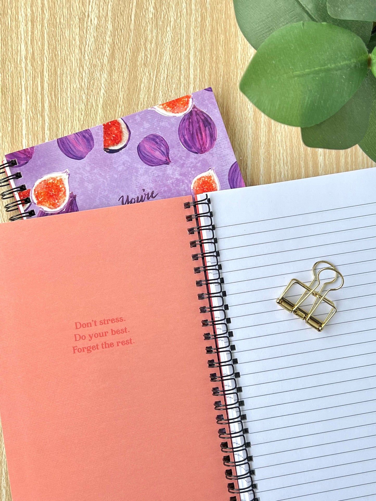 Figgin' Awesome Notebook