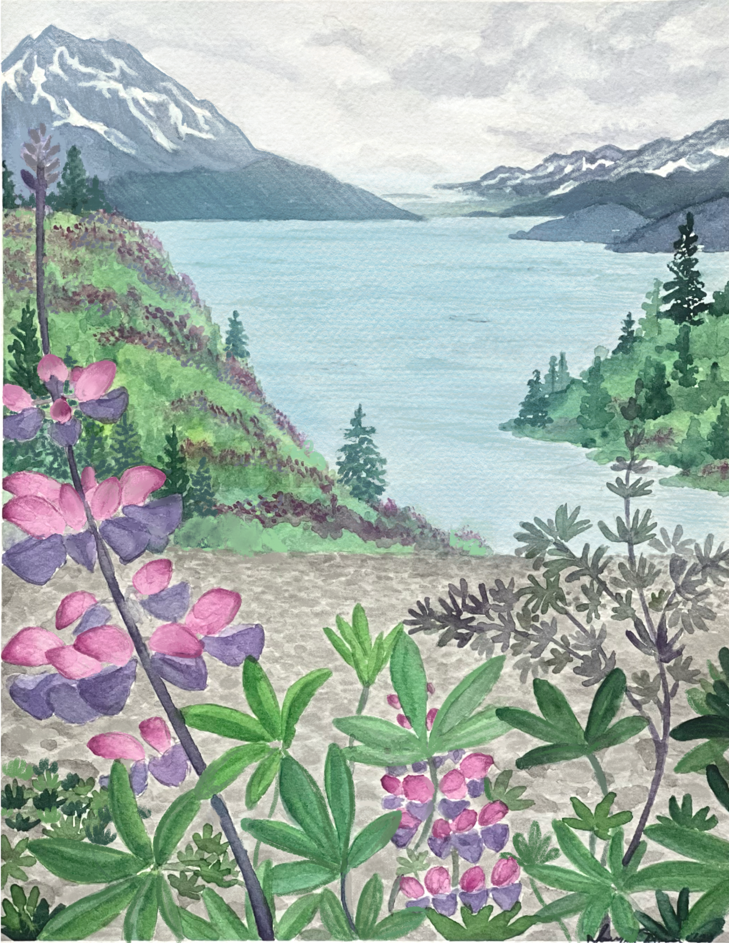 Lupine Landscape