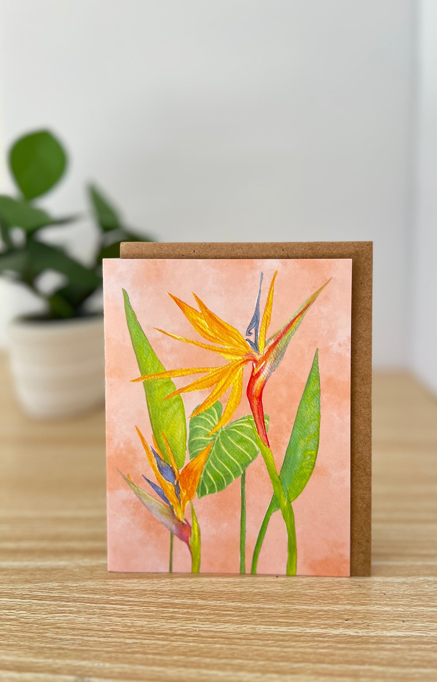 Bird of paradise flowers