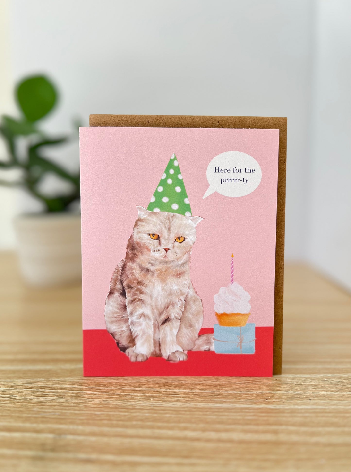 Grumpy cat birthday