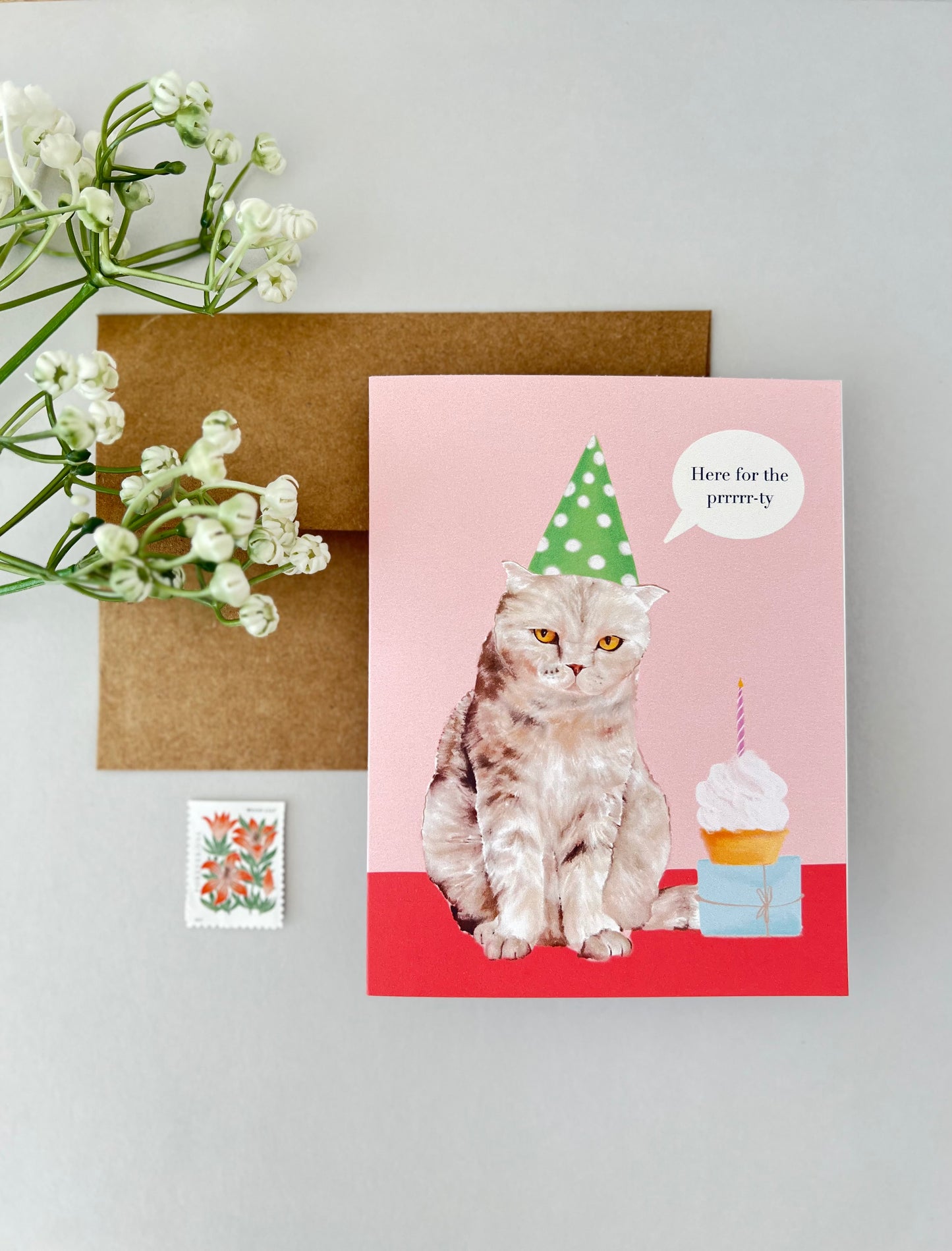 Grumpy cat birthday