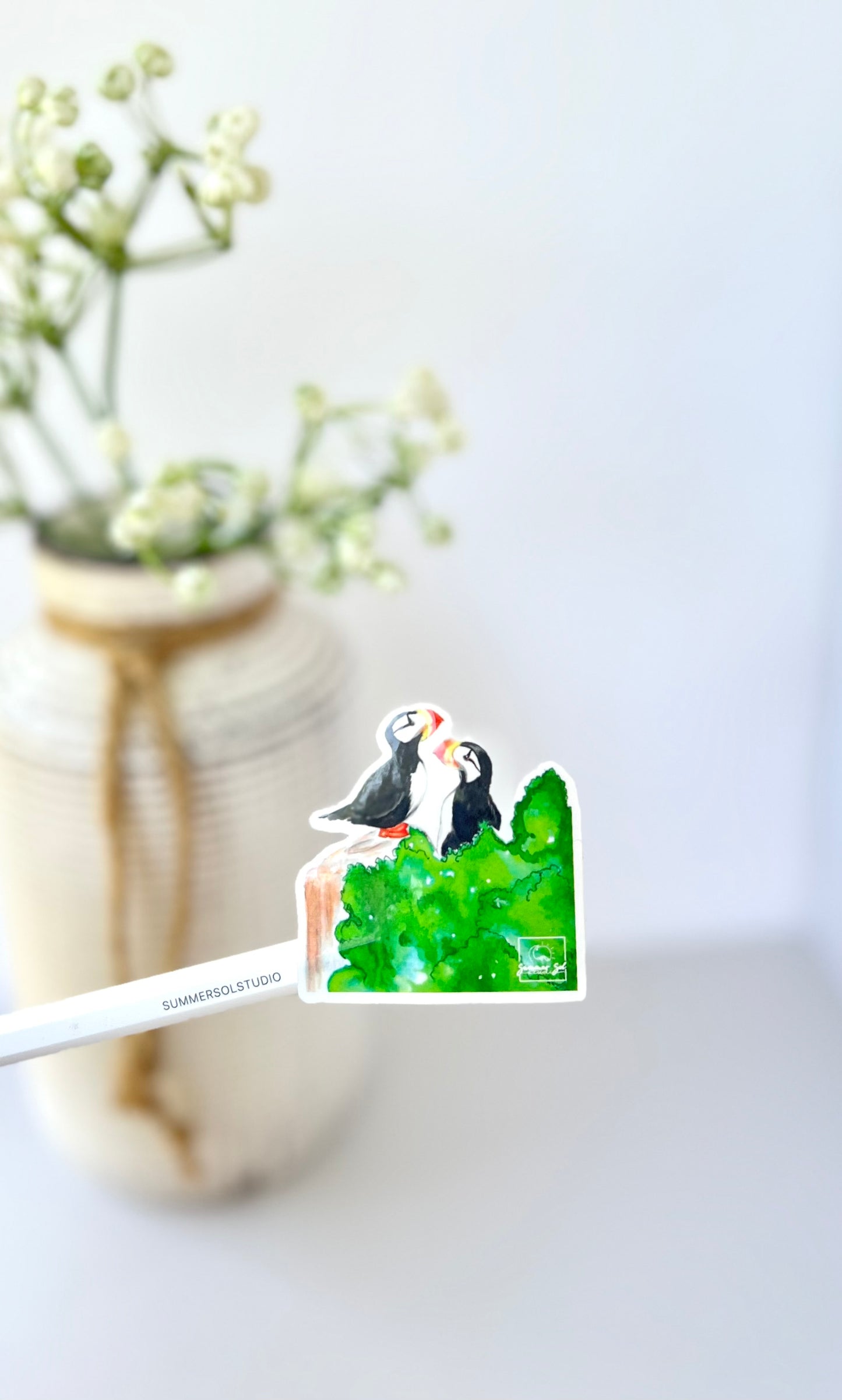 Puffins
