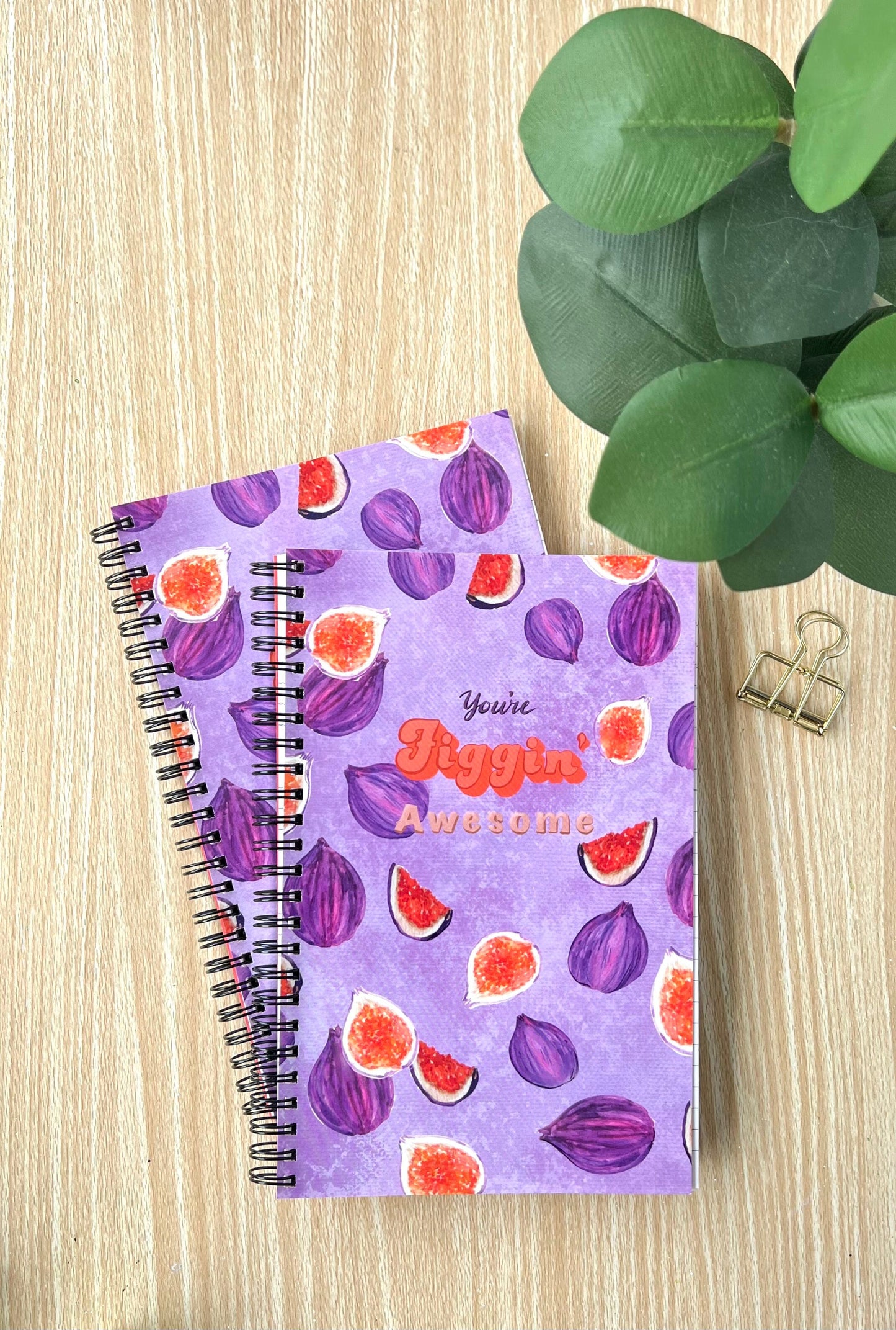 Figgin' Awesome Notebook