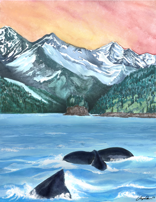 Sunset Orcas