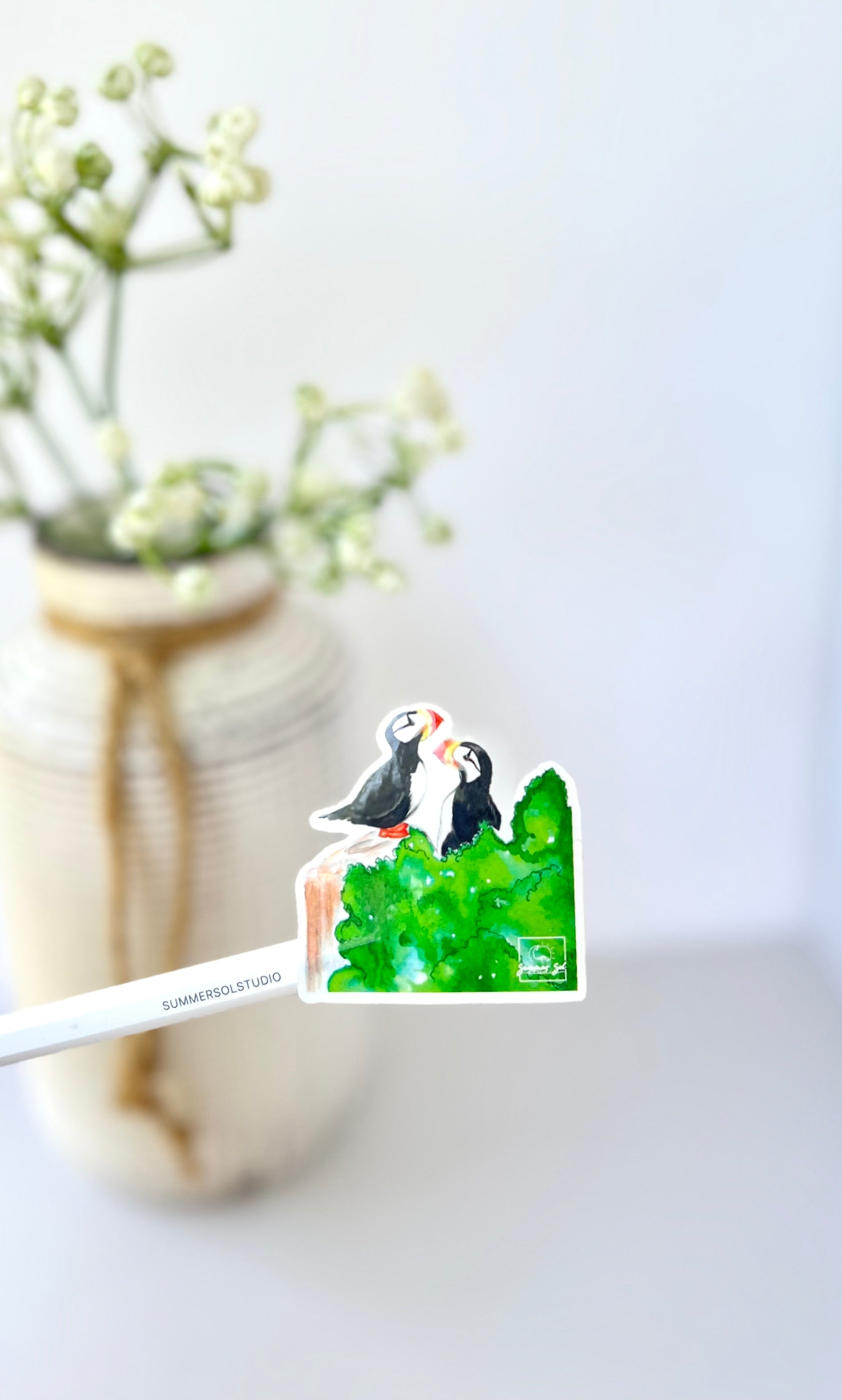Puffins